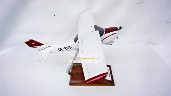 Cessna 172 Skyhawk OE-DTA - Image 4